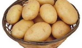 长春土豆最新爆料,揭秘种植奇迹与市场新动向